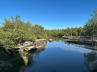 Regenwald in Manaus, Brasilien. 