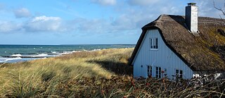 Strand und Dünen in Ahrenshoop