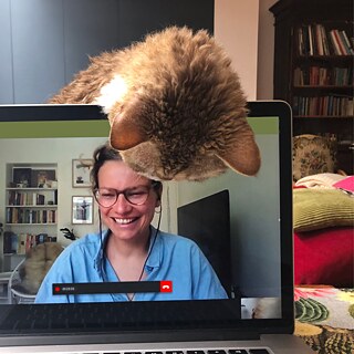 Auf einem Bildschirm ist eine Frau in einem Videocall zu sehen, eine Katze sitzt hinter dem Bildschirm und schaut neugierig auf den Bildschirm herunter. 