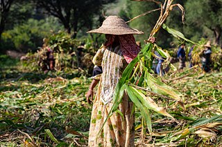 Al-Baraa Mansoor Al-Sameai 2