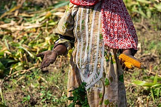 Al-Baraa Mansoor Al-Sameai 3