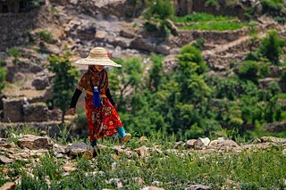 Al-Baraa Mansoor Al-Sameai 8