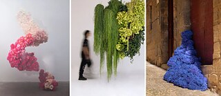 Arbeiten von Carolin Ruggaber - Paeonia Metamorphosis | Escolar de Floral | Rencontre Savage