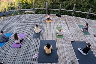 Morgendliche Bewegungspraktiken (Yoga). Residenz im September.
