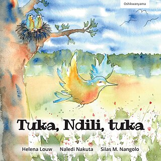 Fly, Ndili, Fly Cover  (Oshikwanyama)