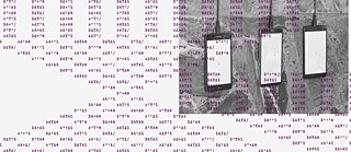 Participative Workshop, Collective Reading & Book Presentation with Olga Goriunova, Mark Cinkevich & Aron Lodi