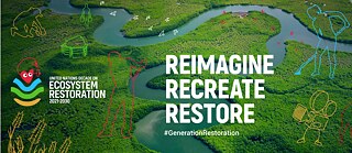 Science Film Festival 2023