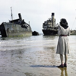 Tránsito (Cover - qd)