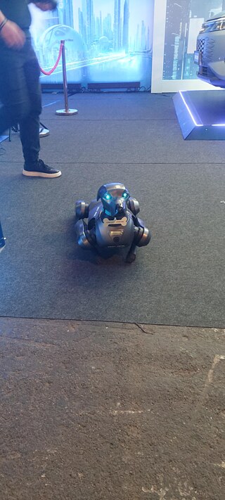 Viktorija Stanojevikj_mobility photo 3