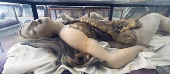 Weibliches anatomisches Wachsmodell (um 1785) im Josephinum in Wien