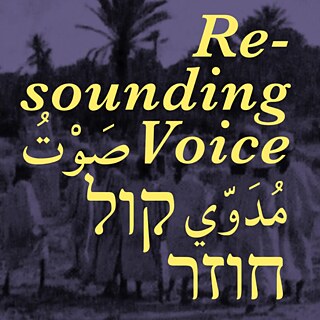 Re-sounding Voice Grafik