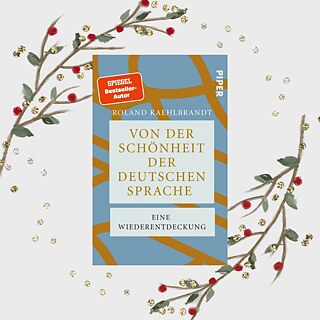 Buchcover vor weihnachtlichem Hintergrund