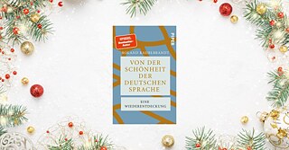 Buchcover vor weihnachtlichem Hintergrund