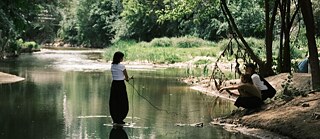 Postnatural Independent Program 2026