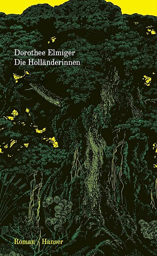Buchcover: Dorothee Elmiger "Die Holländerinnen"