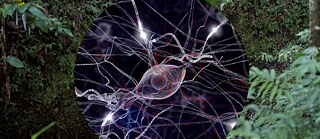 Kunst kiosk 3 banner 3