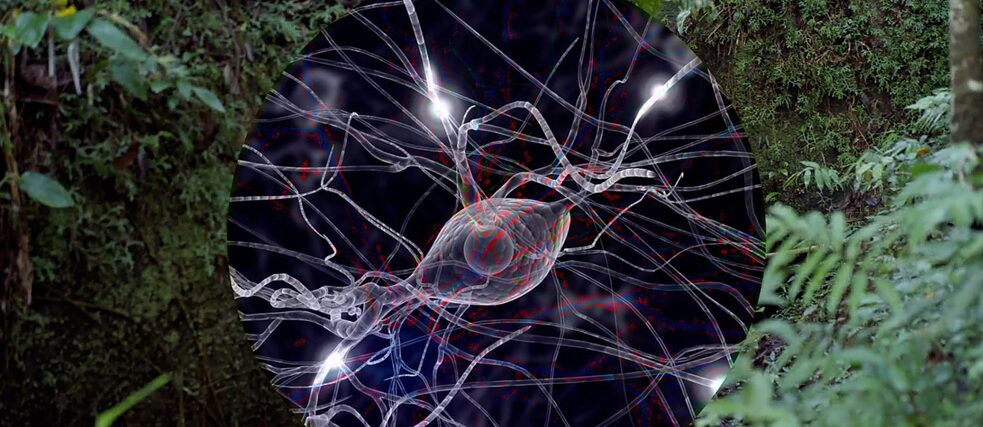 Kunst kiosk 3 banner 3