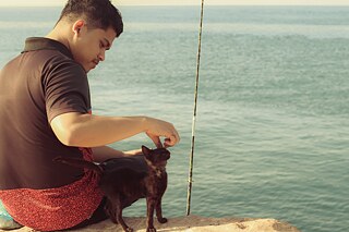 حضرموت, مديرية الديس, الشرقية - اليمن; روحانيات صباحية