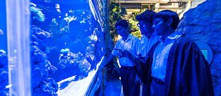 Science Film Festival | Foto: © Basil Christopher Bahadur