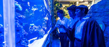 Science Film Festival | Foto: © Basil Christopher Bahadur