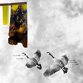 INNERLANDSCAPES-RUN-1080x1080