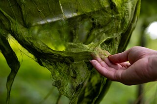 Guarding the Baltic Sea