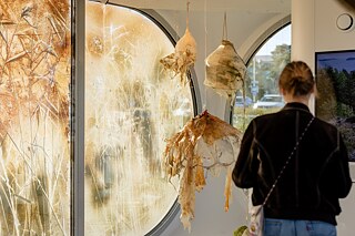 Guarding the Baltic Sea