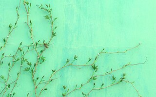 O pohádce objektivní ekonomie