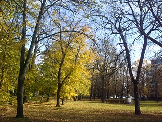 Англійський парк, на задньому плані бюст Ладіслава Похробка, який сумно спостерігає за перехожими. Він був єдиним угорським королем, який народився в Комарі.