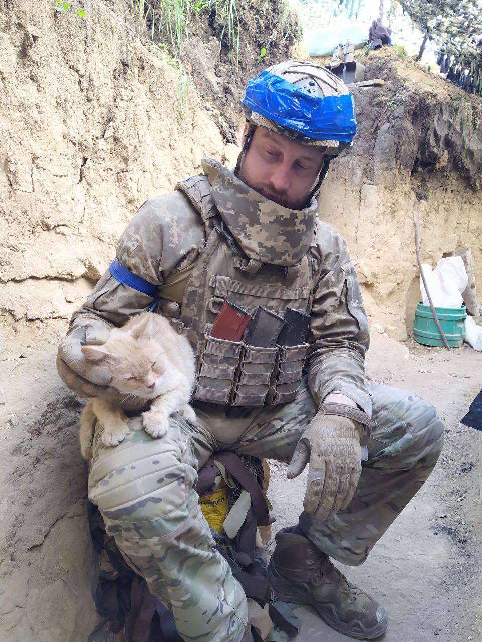 Сергій в окопах разом з «бойовими» котами. 