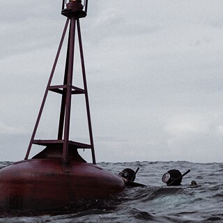 Sarah Neumann - Jenseits der blauen Grenze