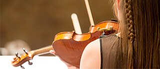 Das Foto zeigt eine Nahaufnahme von einer Person von hinten, wie sie ein Streichinstrument spielt. Man sieht einen Teil der linken Schult und Teil des Hinterkopfes.