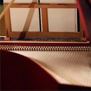 Es zeigt die Nahaufnahme eines Musikintstruments