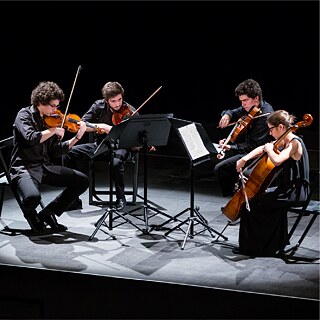 Das Foto zeigt vier Musiker*innen die unterschiedliche Streichinstrumente spielen.