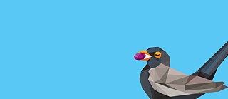 Gezeichneter Vogel mit Rosine im Schnabel und der Schriftzug Rosinenpicker