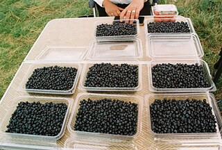 Der Verkaufsplatz von Radka und Tomáš.