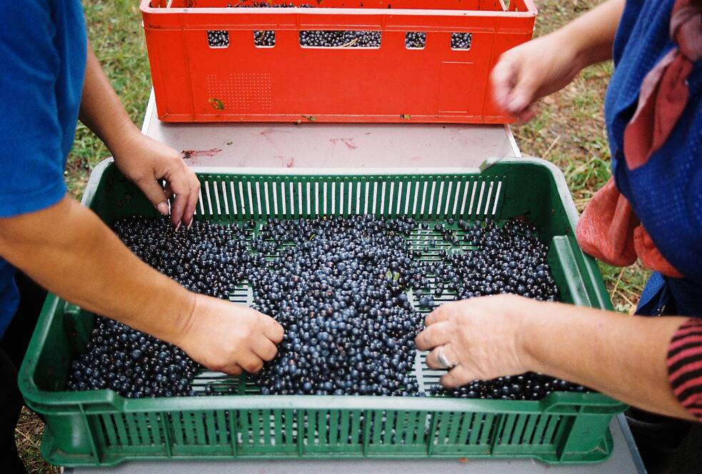 Ilona mit ihrer Mutter.