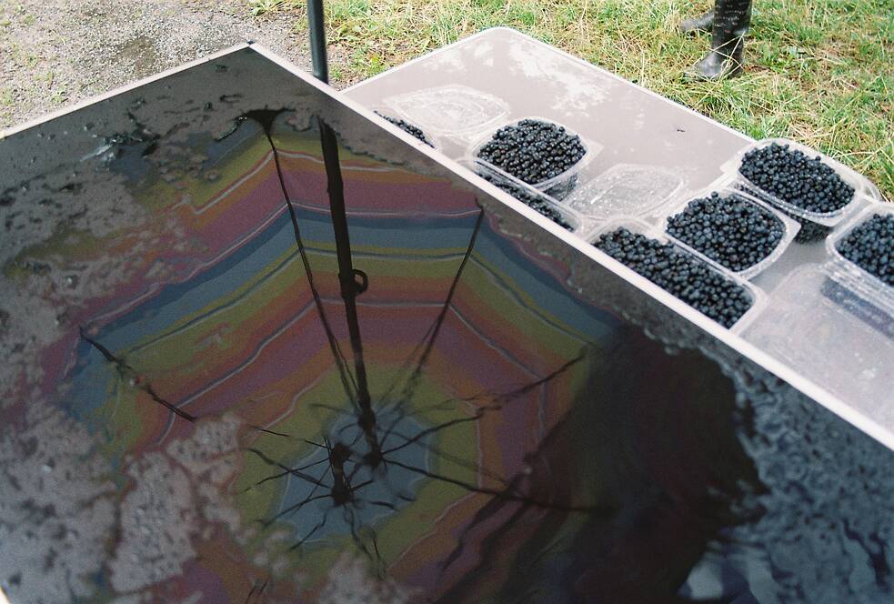 Die von Ilona und Dušan frisch gesammelten Blaubeeren sind schnell verkauft.