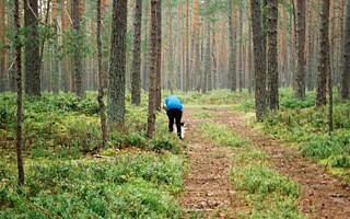 Ilona sbírá už po cestě.