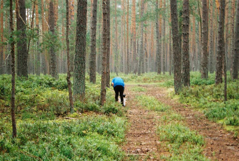 Ilona sammelt bereits auf dem Hinweg.