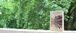 Thomas Mann 'Zauberberg'