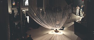 Residency programmes 