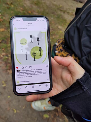 Eglė Plytnikaitė ukazuje svoju ilustráciu životného cyklu stromov.