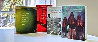 Four of Ursula Krechels books, on a white table by a library window. Books are Gehen Traümen Sehen Unter Baümen, Sehr Geehrte Frau Ministerin, Landgericht and Geisterbahn