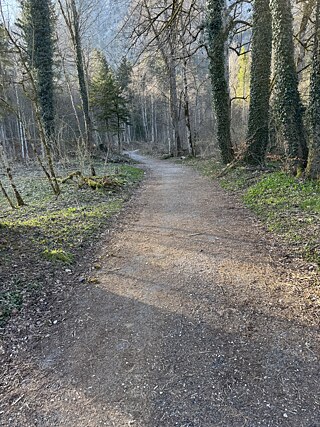 The road to Neuschwanstein, 2025