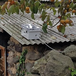 © Weather Report (Gangil Yi, Jiyeon Kim), Culture Space Yang