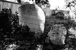 O básní a smrti (pár slov o pohrebnej poézii)