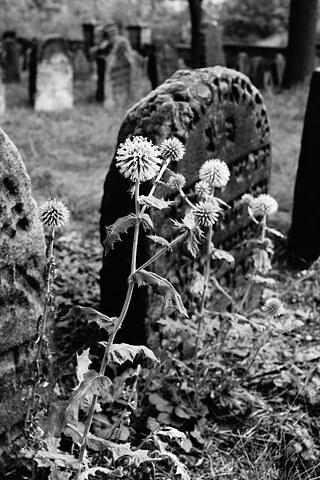 O básní a smrti (pár slov o pohrebnej poézii)