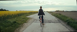 From behind, you can see a person riding a bicycle through fields in bloom.