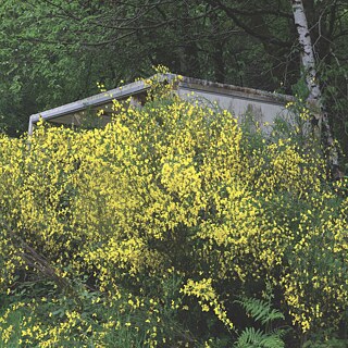 L'images montre 4 photos attachées au mur.